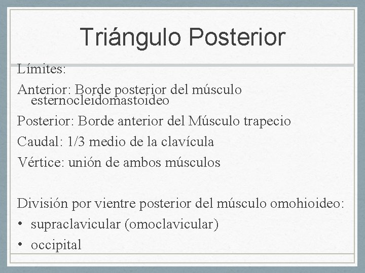 Triángulo Posterior Límites: Anterior: Borde posterior del músculo esternocleidomastoideo Posterior: Borde anterior del Músculo