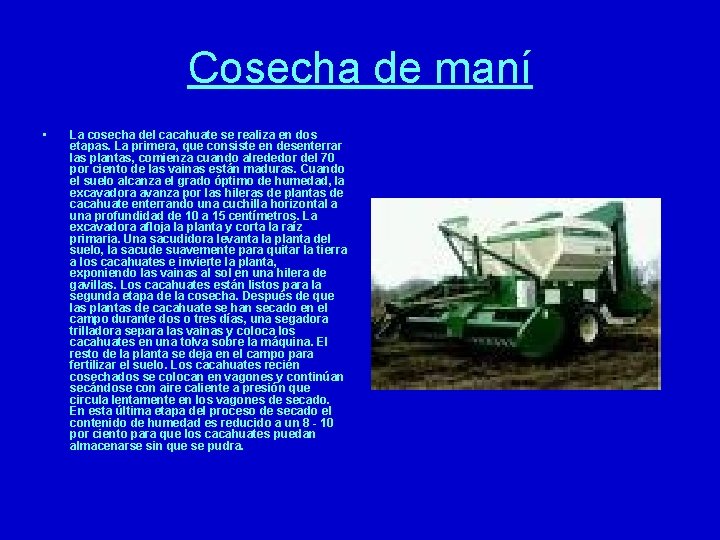 Cosecha de maní • La cosecha del cacahuate se realiza en dos etapas. La