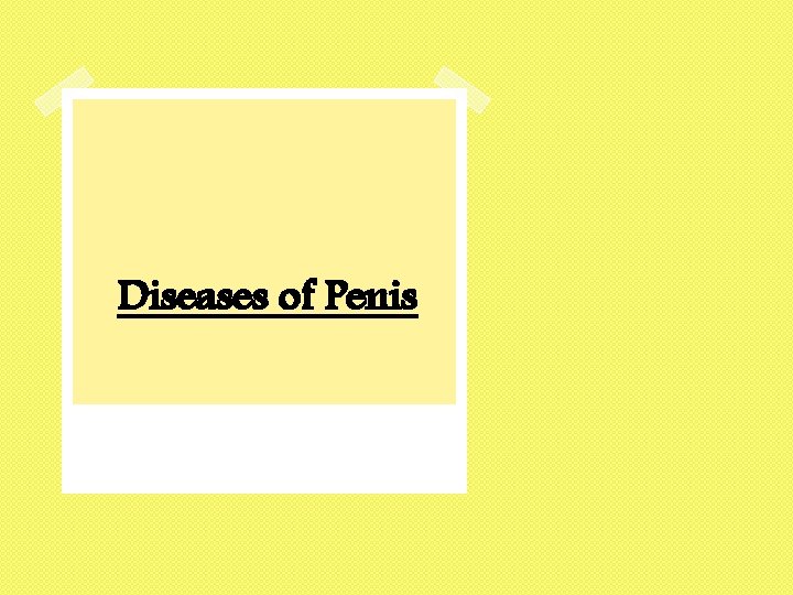 Diseases of Penis 