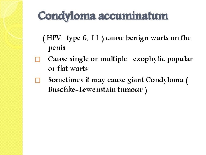 Condyloma accuminatum ( HPV- type 6, 11 ) cause benign warts on the penis