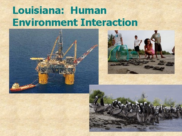 Louisiana: Human Environment Interaction 