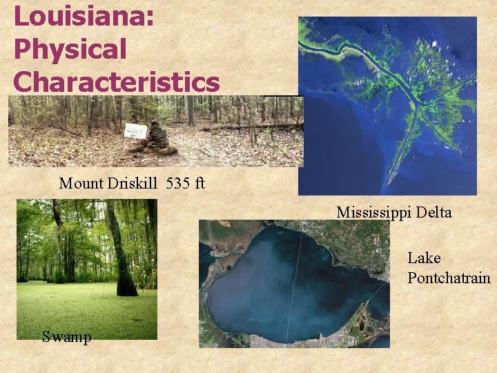 Louisiana: Physical Characteristics Mount Driskill 535 ft Mississippi Delta Lake Pontchatrain Swamp 