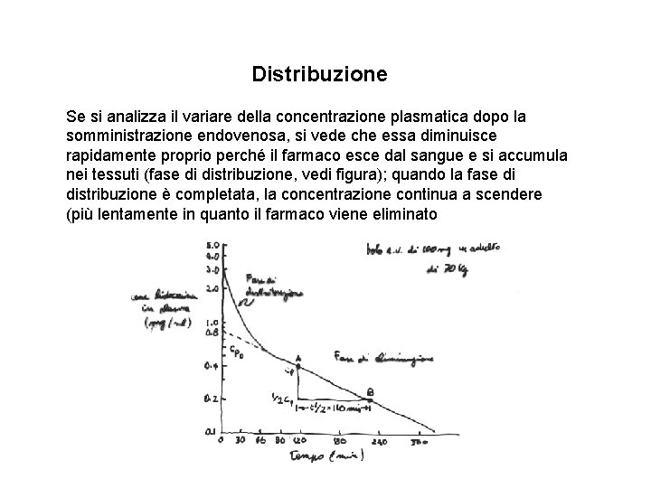 Distribuzione Se si analizza il variare della concentrazione plasmatica dopo la somministrazione endovenosa, si