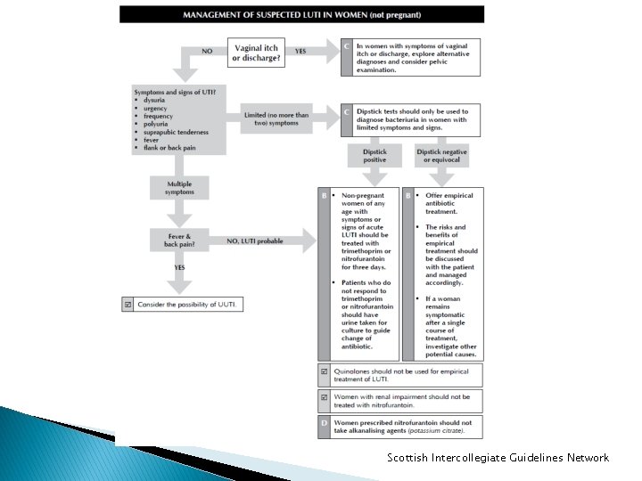 Scottish Intercollegiate Guidelines Network 