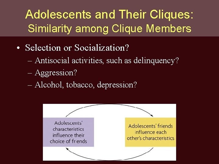 Adolescents and Their Cliques: Similarity among Clique Members • Selection or Socialization? – Antisocial