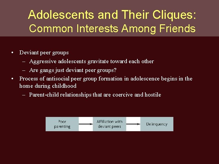 Adolescents and Their Cliques: Common Interests Among Friends • Deviant peer groups – Aggressive
