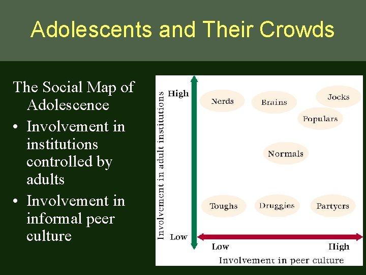 Adolescents and Their Crowds The Social Map of Adolescence • Involvement in institutions controlled