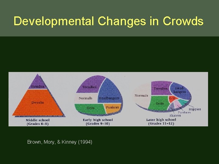 Developmental Changes in Crowds Brown, Mory, & Kinney (1994) 