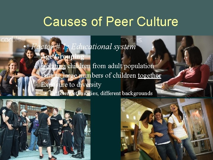 Causes of Peer Culture • Factor # 1: Educational system – – Age Grouping