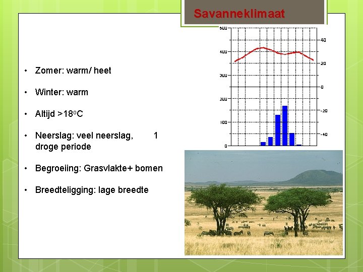 Savanneklimaat • Zomer: warm/ heet • Winter: warm • Altijd >18 o. C •