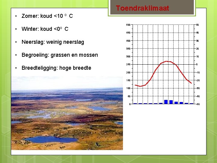 Toendraklimaat • Zomer: koud <10 o C • Winter: koud <0 o C •