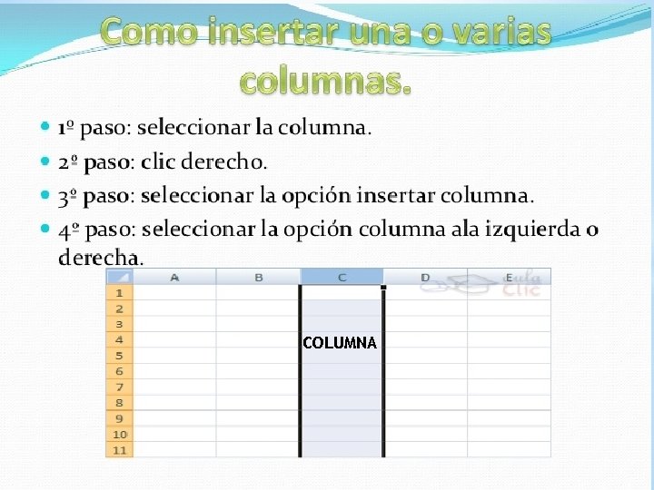 COLUMNA 