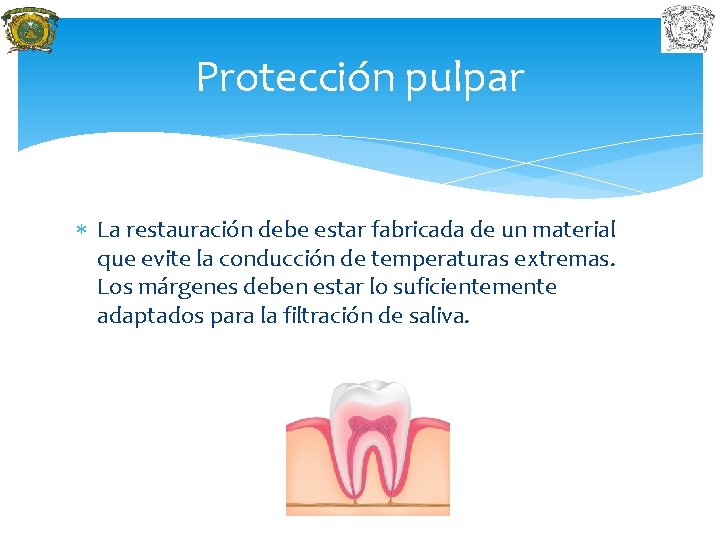 Protección pulpar La restauración debe estar fabricada de un material que evite la conducción