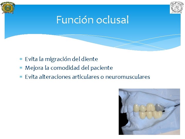 Función oclusal Evita la migración del diente Mejora la comodidad del paciente Evita alteraciones