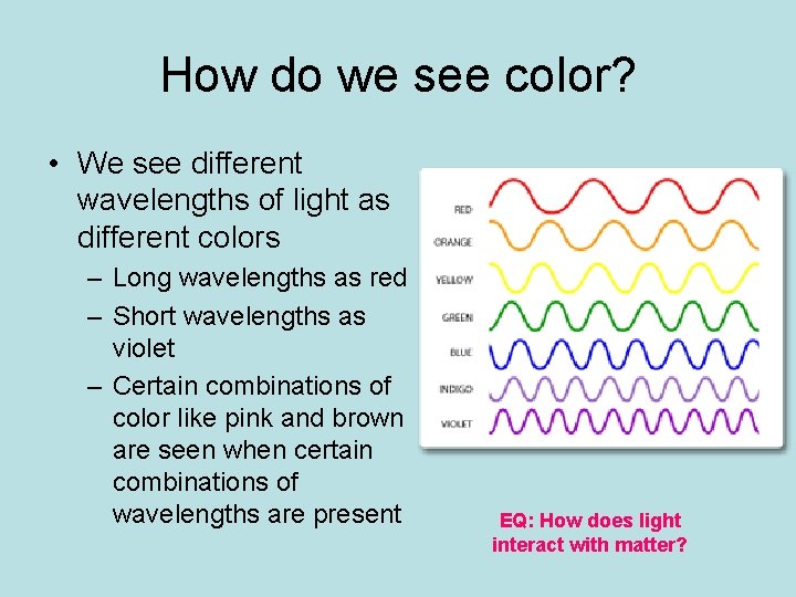 How do we see color? • We see different wavelengths of light as different How do we see color? • We see different wavelengths of light as different