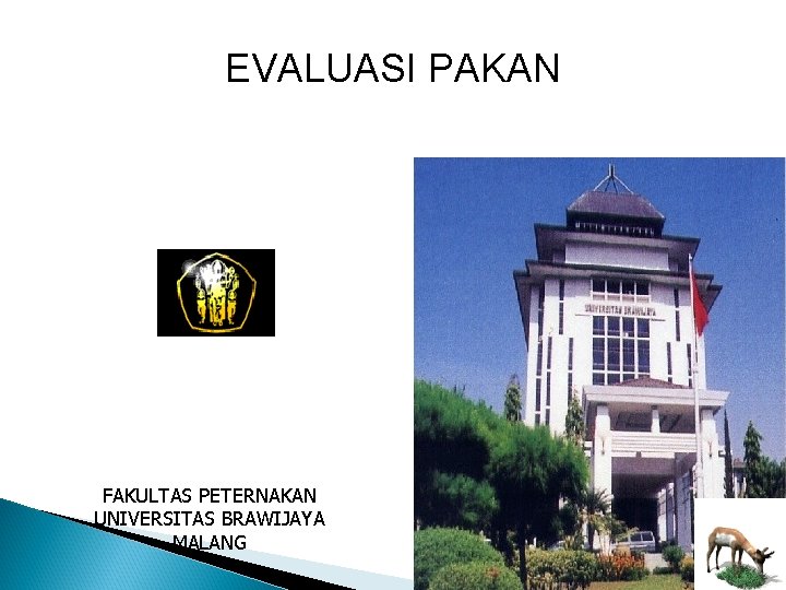 EVALUASI PAKAN FAKULTAS PETERNAKAN UNIVERSITAS BRAWIJAYA MALANG 