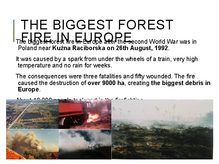 THE BIGGEST FOREST FIRE IN EUROPE The biggest forest fire in Europe after the