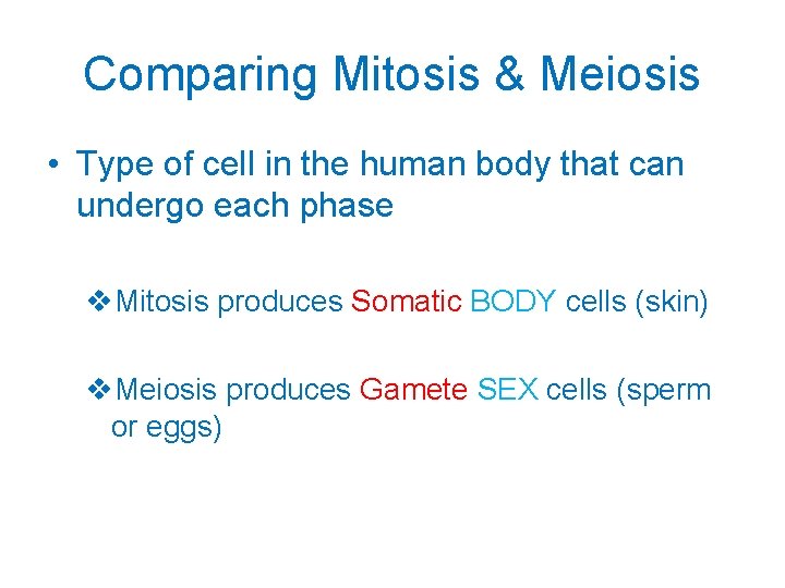 Comparing Mitosis & Meiosis • Type of cell in the human body that can