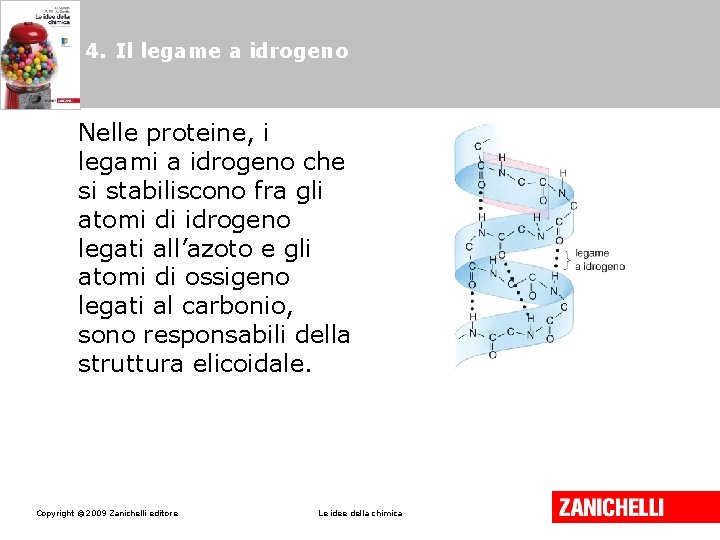 4. Il legame a idrogeno Nelle proteine, i legami a idrogeno che si stabiliscono