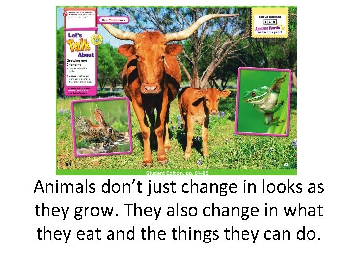 Animals don’t just change in looks as they grow. They also change in what