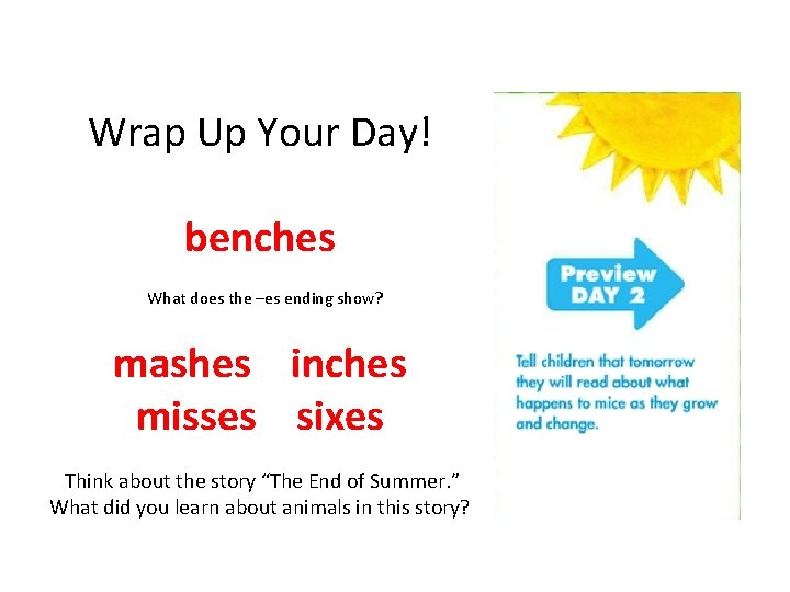 Wrap Up Your Day! benches What does the –es ending show? mashes inches misses