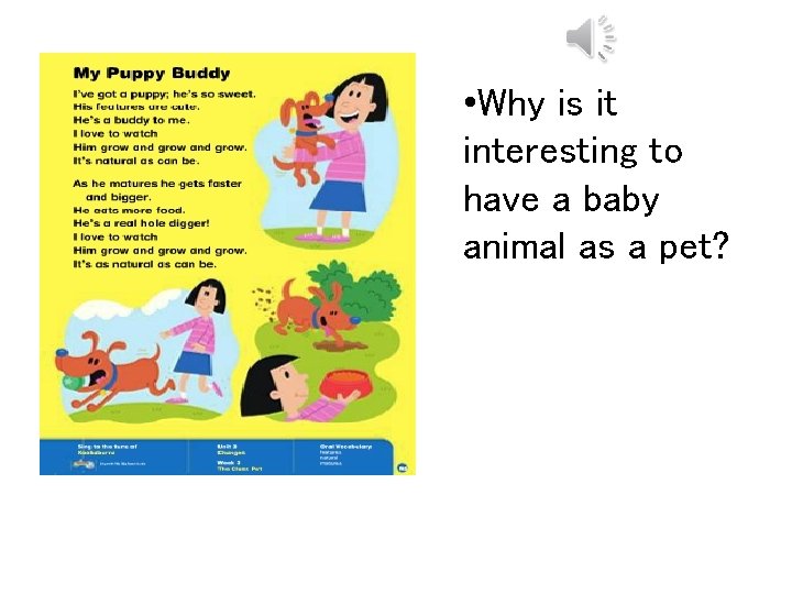  • Why is it interesting to have a baby animal as a pet?