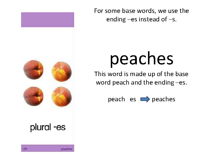 For some base words, we use the ending –es instead of –s. peaches This