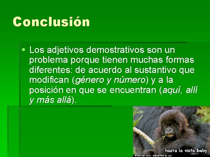 Conclusión § Los adjetivos demostrativos son un problema porque tienen muchas formas diferentes: de