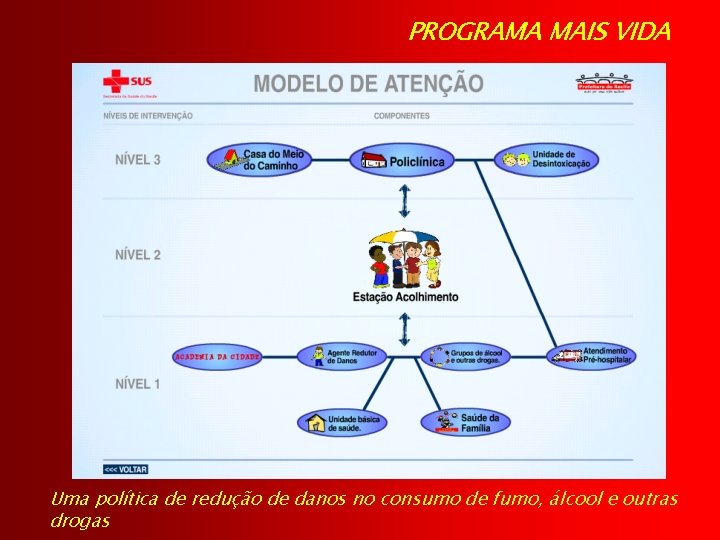 PROGRAMA MAIS VIDA Uma política de redução de danos no consumo de fumo, álcool