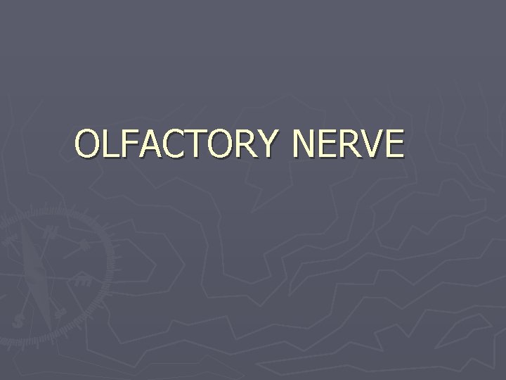 OLFACTORY NERVE 