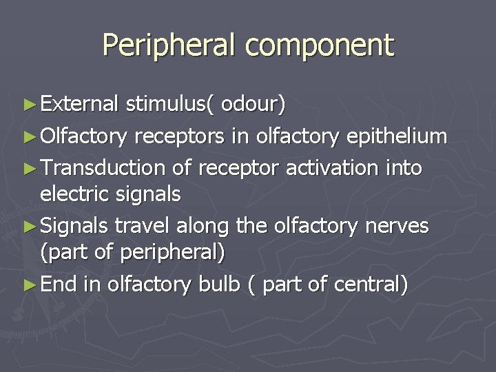 Peripheral component ► External stimulus( odour) ► Olfactory receptors in olfactory epithelium ► Transduction