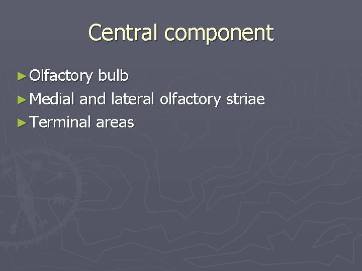 Central component ► Olfactory bulb ► Medial and lateral olfactory striae ► Terminal areas