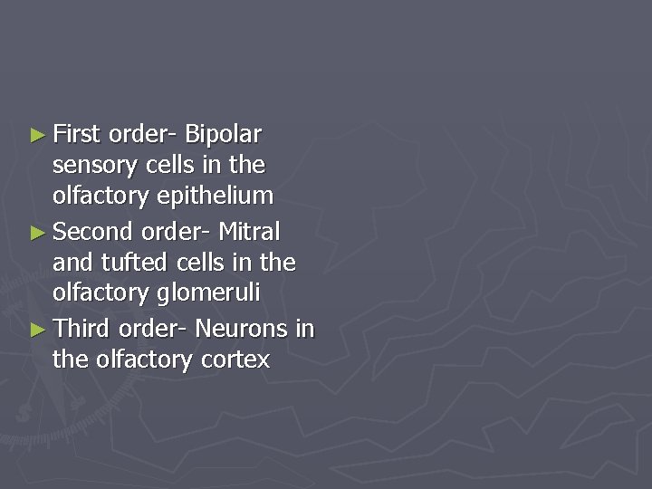 ► First order- Bipolar sensory cells in the olfactory epithelium ► Second order- Mitral