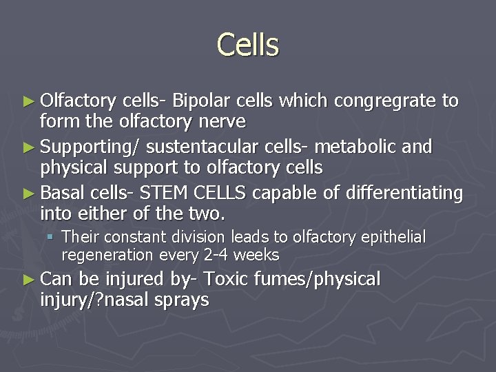 Cells ► Olfactory cells- Bipolar cells which congregrate to form the olfactory nerve ►