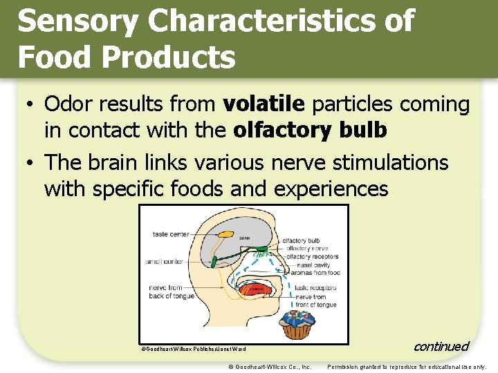 Sensory Characteristics of Food Products • Odor results from volatile particles coming in contact Sensory Characteristics of Food Products • Odor results from volatile particles coming in contact