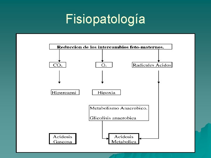 Fisiopatología 