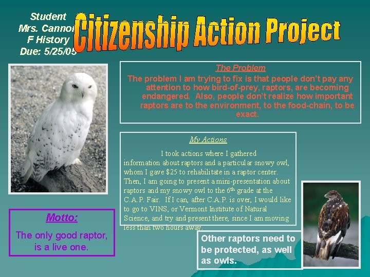 Student Mrs. Cannon F History Due: 5/25/05 The Problem The problem I am trying