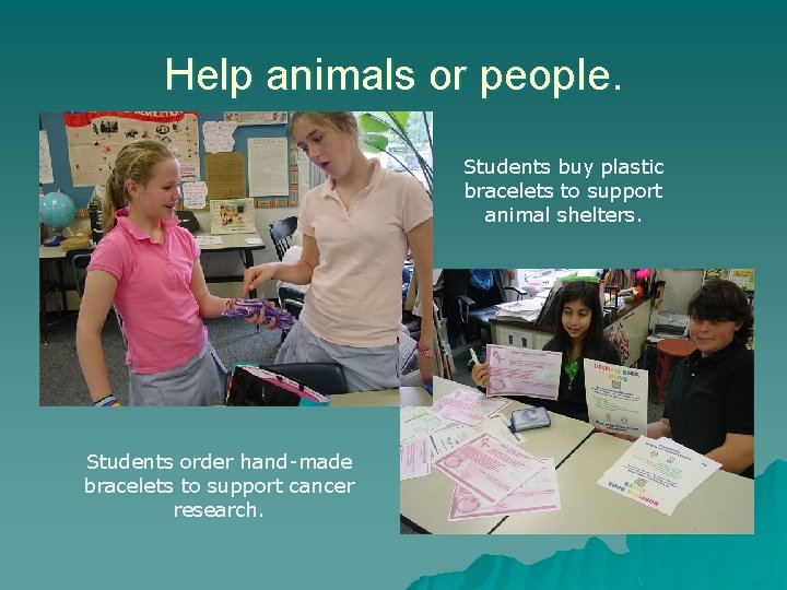 Help animals or people. Students buy plastic bracelets to support animal shelters. Students order