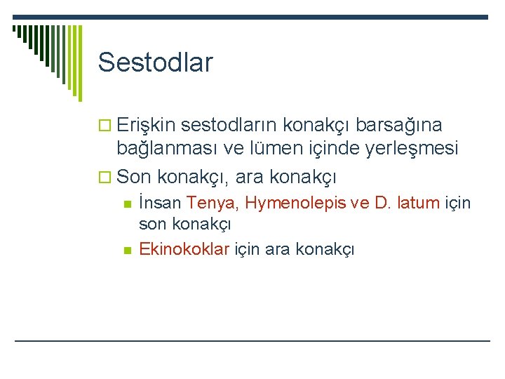 Sestodlar o Erişkin sestodların konakçı barsağına bağlanması ve lümen içinde yerleşmesi o Son konakçı,