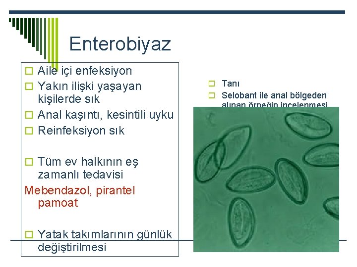 Enterobiyaz o Aile içi enfeksiyon o Yakın ilişki yaşayan kişilerde sık o Anal kaşıntı,
