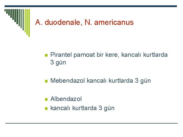 A. duodenale, N. americanus n Pirantel pamoat bir kere, kancalı kurtlarda 3 gün n