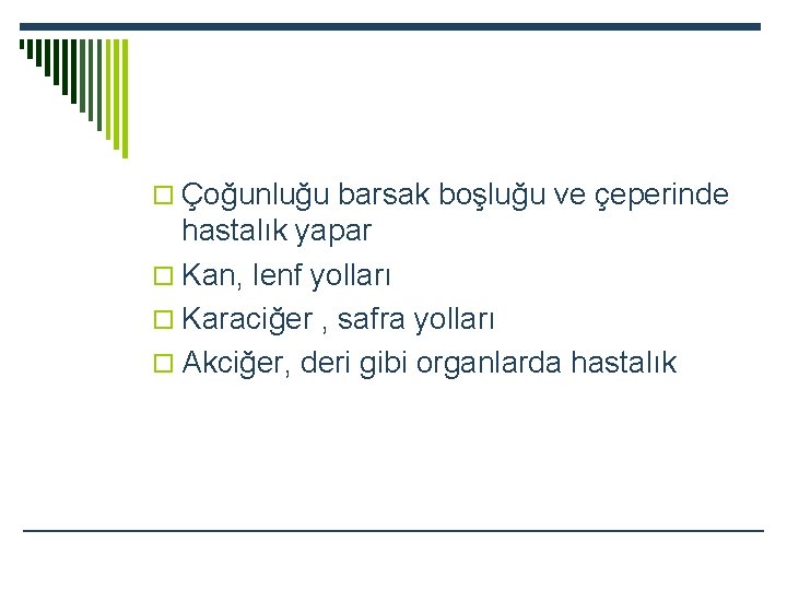 o Çoğunluğu barsak boşluğu ve çeperinde hastalık yapar o Kan, lenf yolları o Karaciğer