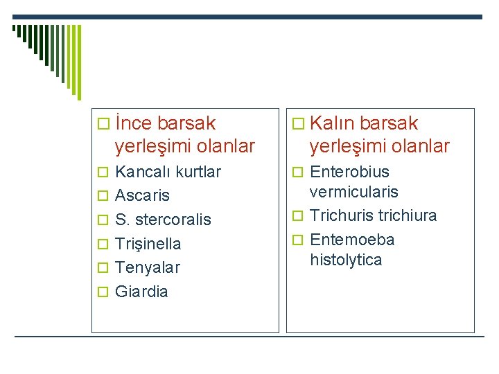 o İnce barsak yerleşimi olanlar o Kalın barsak yerleşimi olanlar o Kancalı kurtlar o