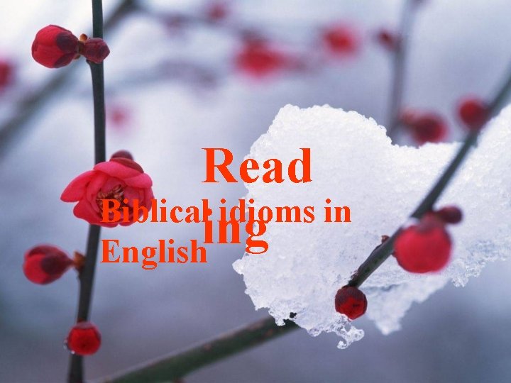 Read Biblical idioms in ing English 