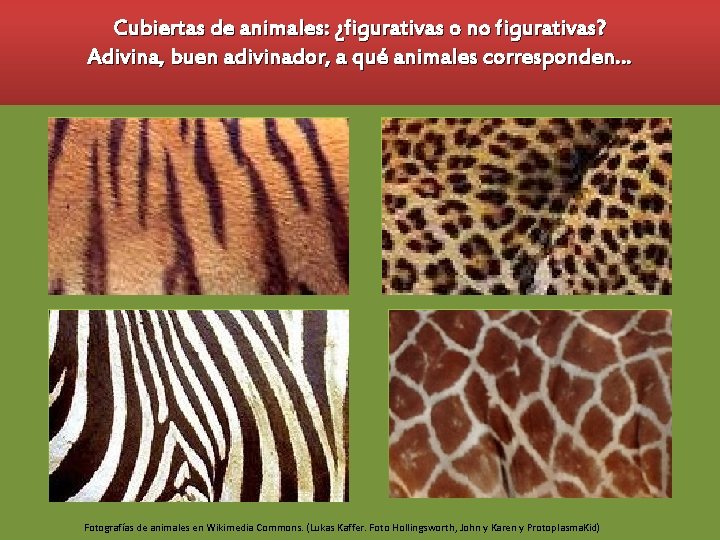 Cubiertas de animales: ¿figurativas o no figurativas? Adivina, buen adivinador, a qué animales corresponden…