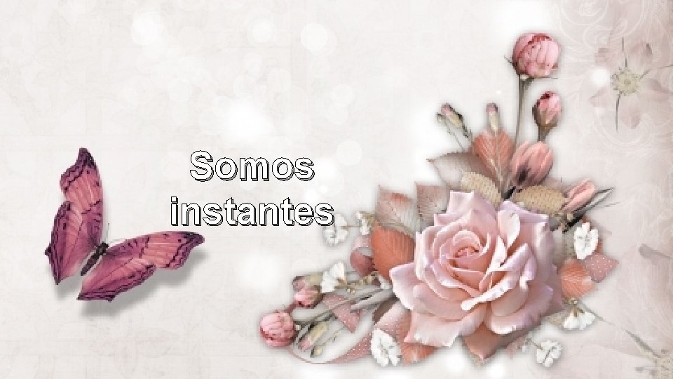 Somos instantes Somos instantes