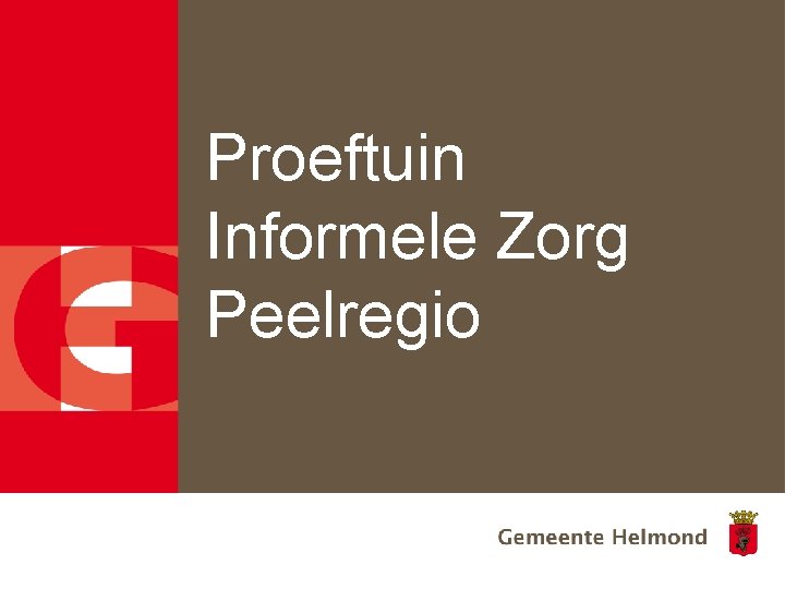 Proeftuin Informele Zorg Peelregio 