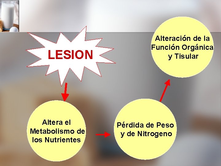  LESION Altera el Metabolismo de los Nutrientes Alteración de la Función Orgánica y
