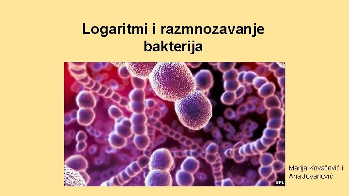 Logaritmi i razmnozavanje bakterija Marija Kovačević i Ana Jovanović Logaritmi i razmnozavanje bakterija Marija Kovačević i Ana Jovanović