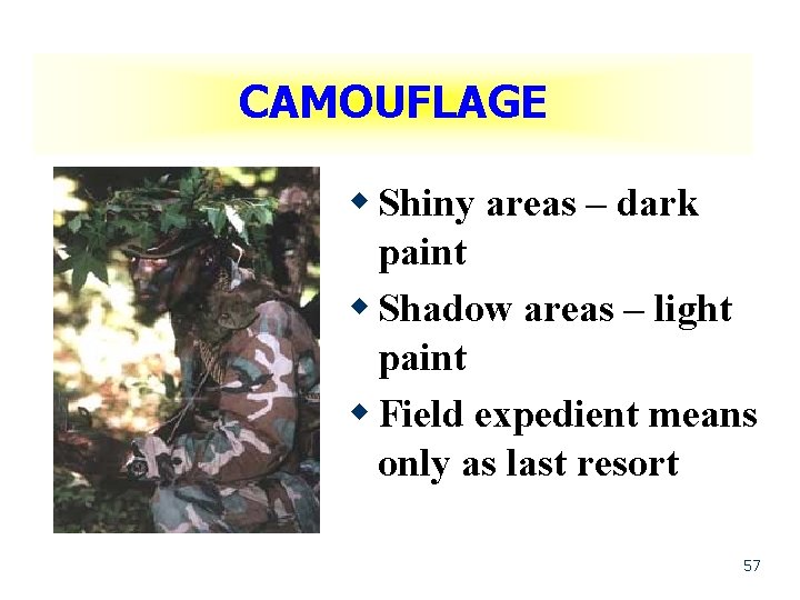 CAMOUFLAGE w Shiny areas – dark paint w Shadow areas – light paint w